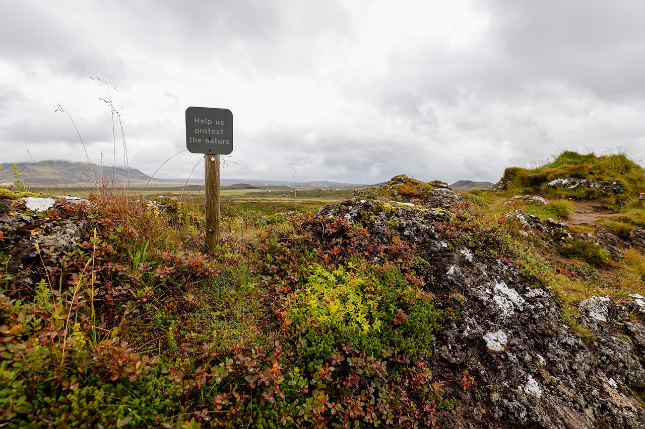 Climate Change Effects on Extreme Weather Patterns